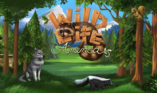 download Wildlife: America apk
